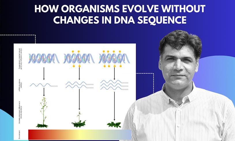 Learn More About How Plants Adapt Without Changing Genes